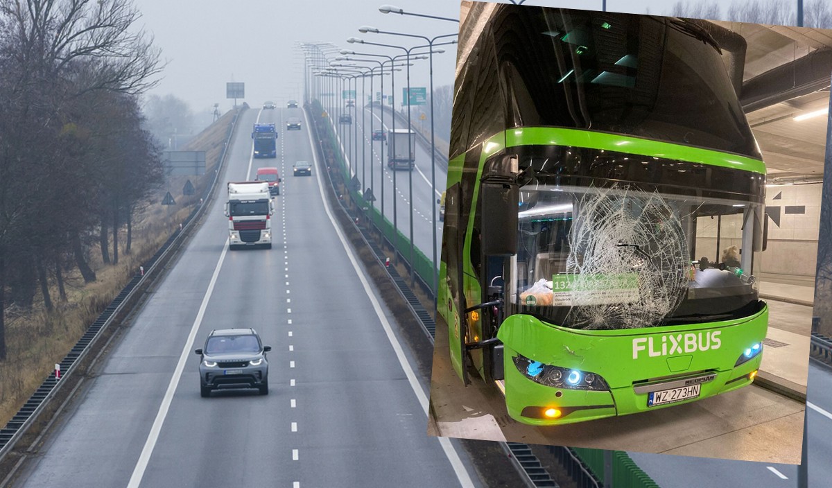 Flixbus zawiesił swojego kierowcę, który przywalił w łosia, spalił szluga i postanowił kontynuować jazdę