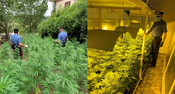 Dwóch Polaków założyło plantację marihuany pod Rzymem