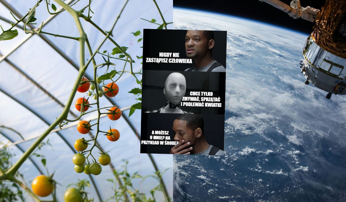 Polscy naukowcy pracują nad robotami szklarniowym i czyszczącym, które pomogłyby na Księżycu