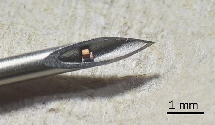Uniwersytet Columbia chwali się mikrochipem, który naprawdę można wstrzyknąć, bo mieści się w igle