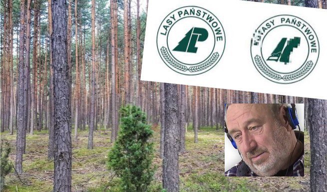 Lasy Państwowe pozywają aktywistę, bo dorysował im penisa w logo