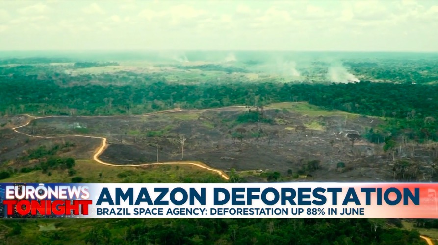 Wycinka puszczy amazońskiej drastycznie przyspieszyła pod rządami Bolsonaro