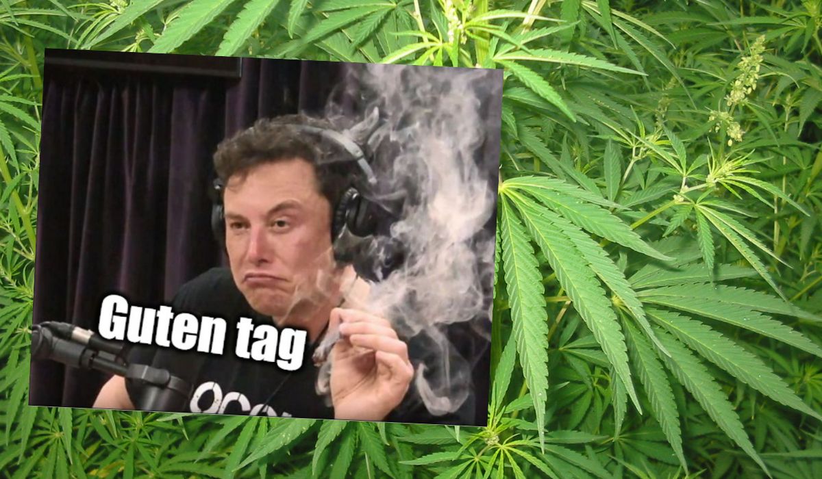 Niemiecka firma poszukuje testera medycznej marihuany, można zarobić ponad 8 tys. euro miesięcznie 