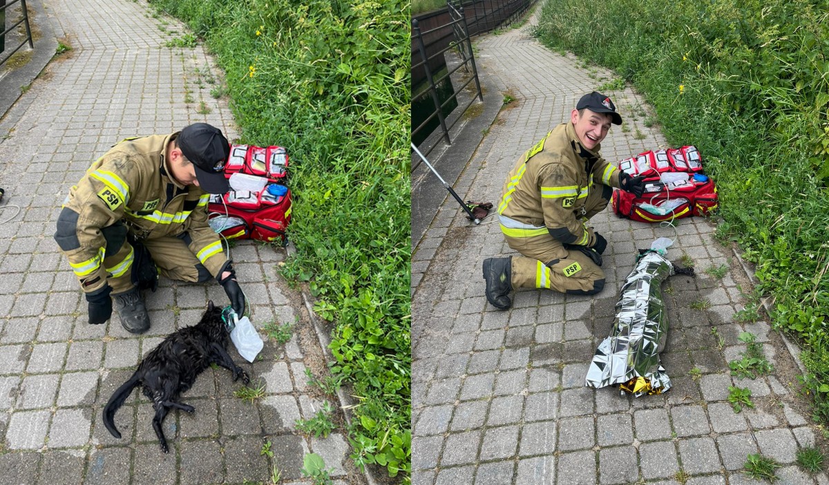 Strażacy w ostatniej chwili uratowali tonącego kitka, zrobili resuscytację i zawinęli jak kebab, żeby się ogrzał