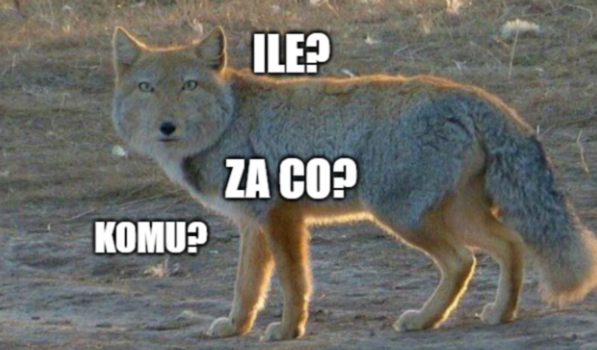 Kraków dawał podejrzanie dobrą fuchę, 11,5 tys. miesięcznie za pisanie bloga i jakieś "konsultacje"