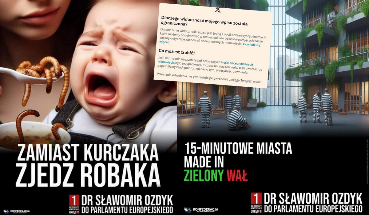 Kandydat Konfederacji przerażony: jego wygenerowane grafiki są traktowane jako fejki