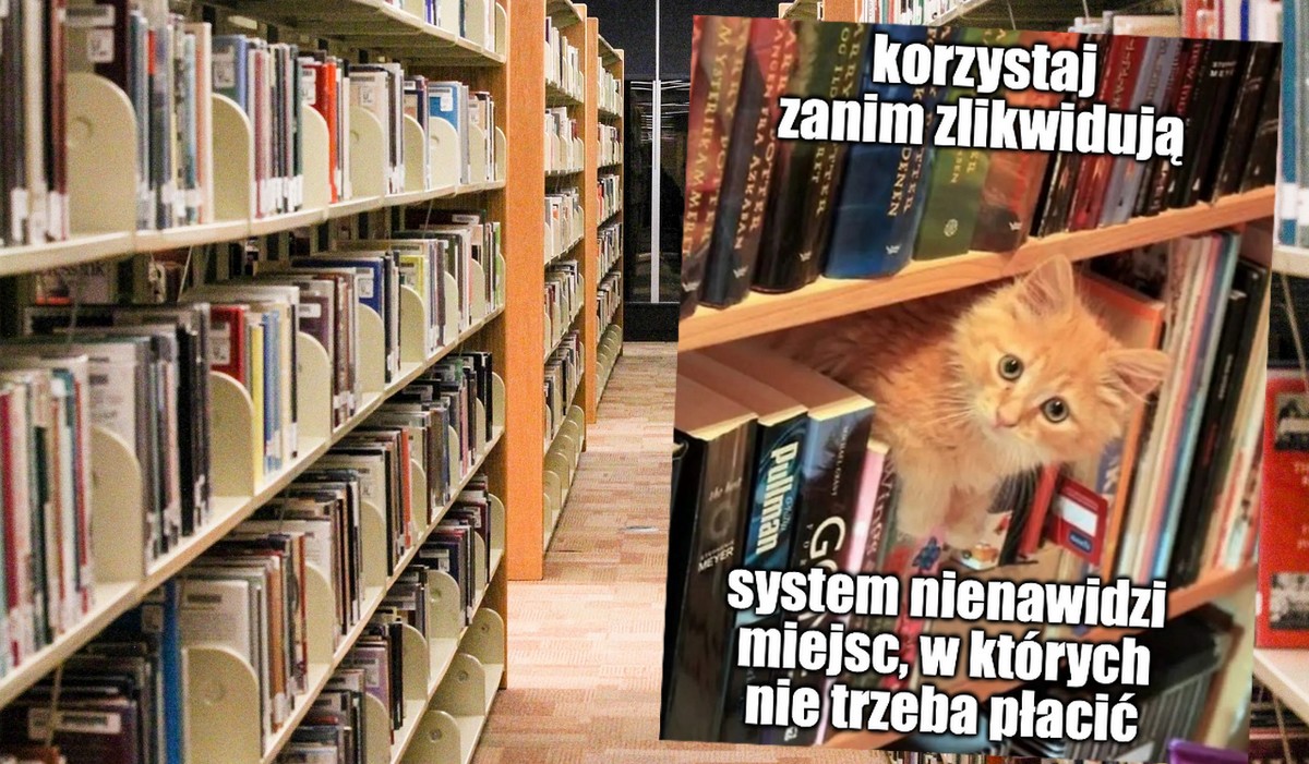 Badanie: biblioteki wracają do łask, czytelnictwo rozwija się szczególnie w młodym pokoleniu