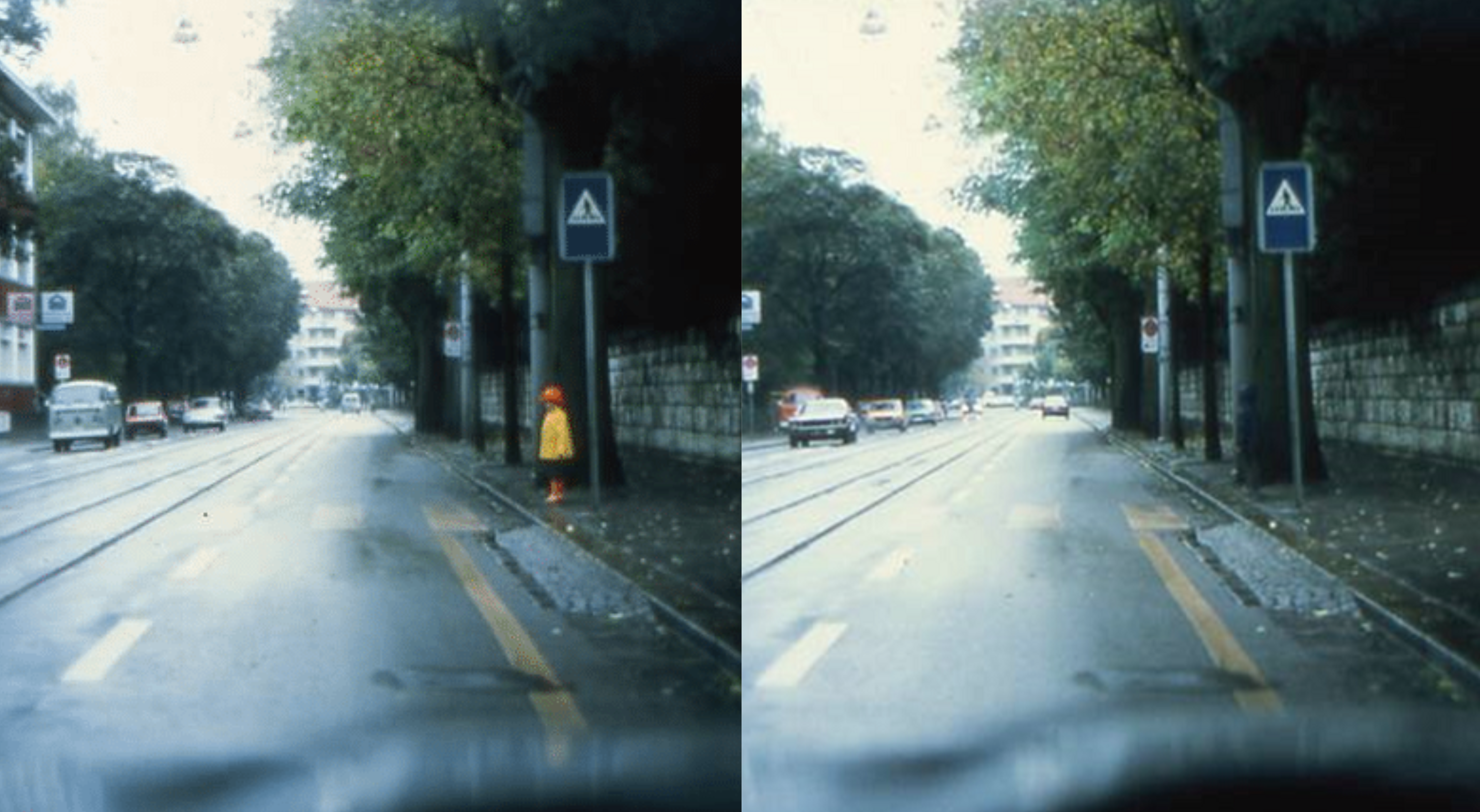 Policja zachęca do jednosekundowego testu: widzisz dziecko na drodze?