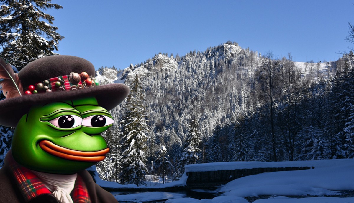 Aktywiści alarmują: na Nosalu przepychana jest szybko inwestycja, która zaszkodzi zwierzętom i przyrodzie