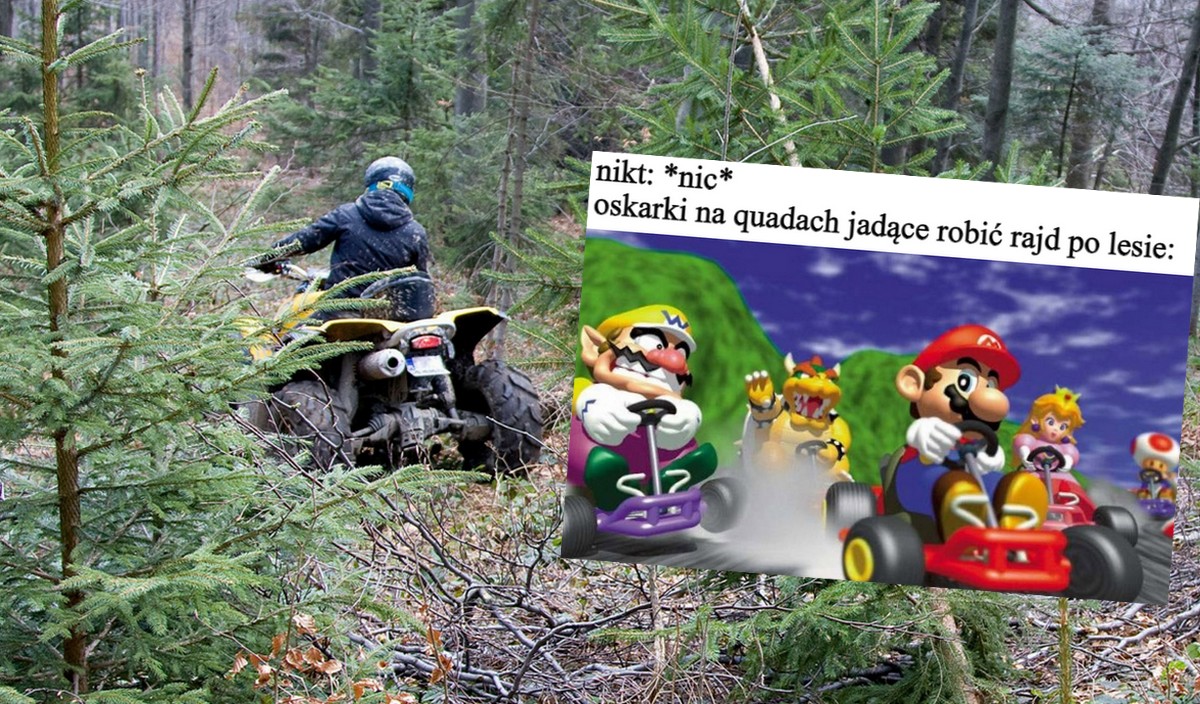 Ministerstwo rozważa ostrzejsze kary dla cwaniaczków na quadach w lasach, włącznie z konfiskatą pojazdu