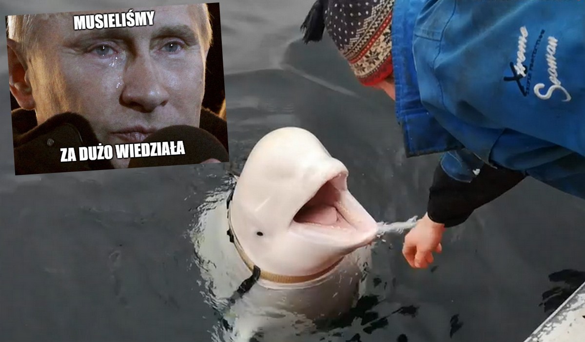 Białucha podejrzana o szpiegowanie na rzecz Rosji miała rany postrzałowe