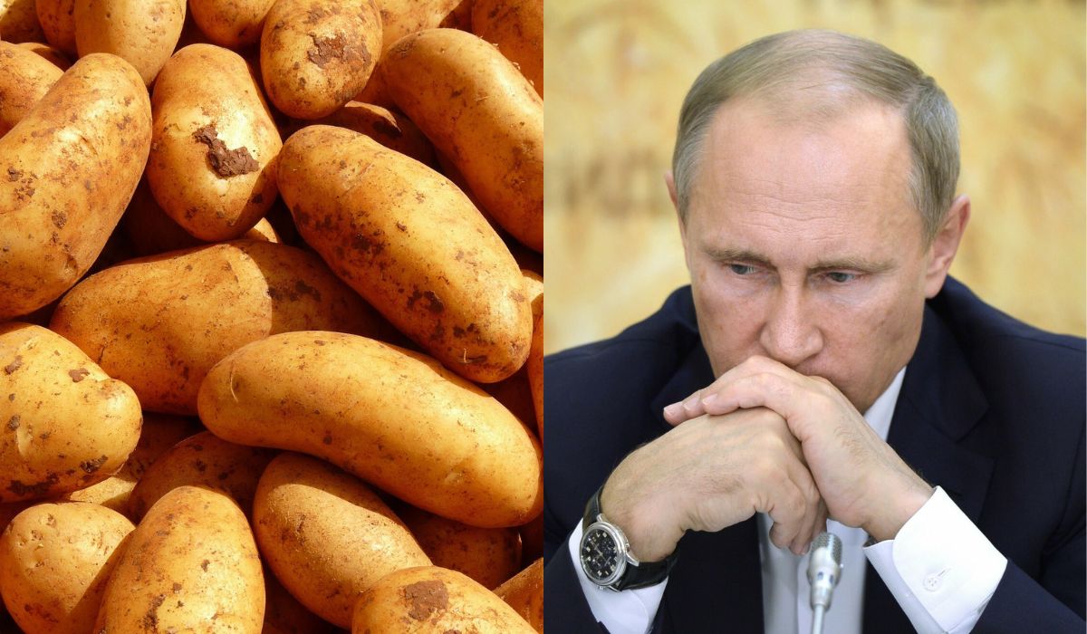 Ceny ziemniaków w Rosji tak urosły, że rząd postanowił je sztucznie regulować