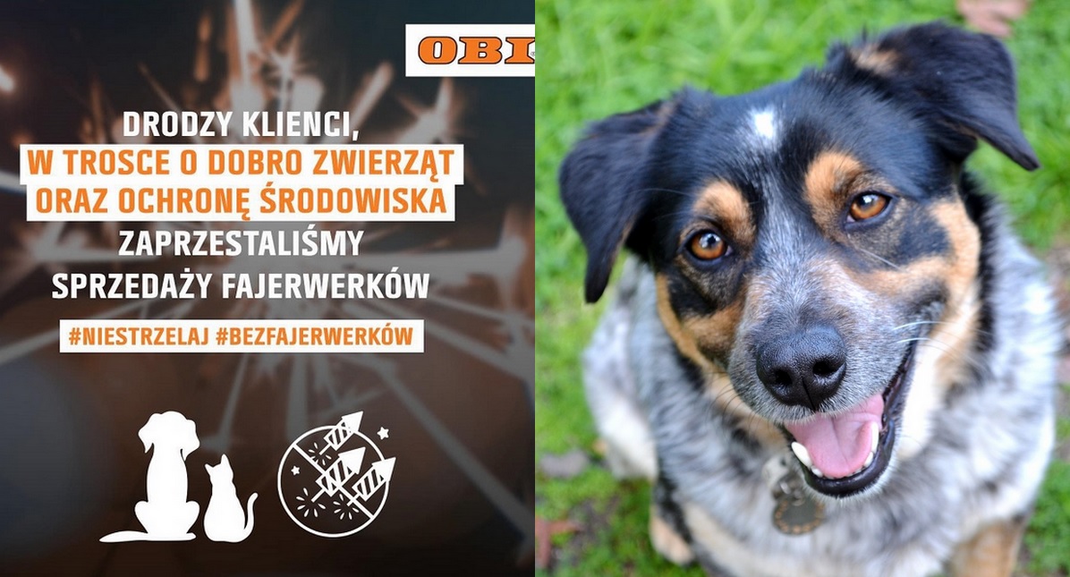 OBI się nie bało i z fajerwerków w sprzedaży zrezygnowało