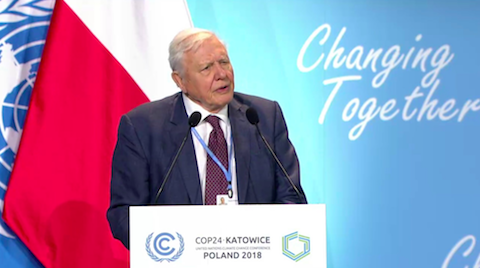 Sir David Attenborough wywołał poruszenie, mówiąc do rzeczy