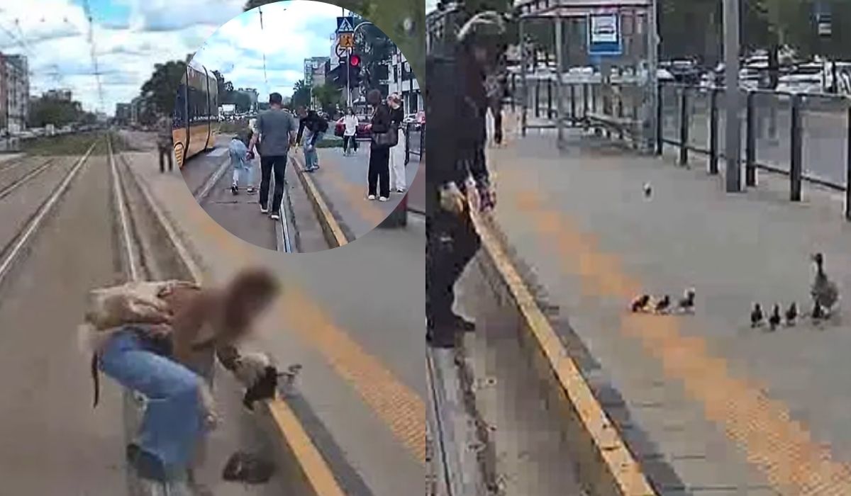 Warszawa: skoordynowana akcja pozwoliła zagonić kaczuszki siejące chaos na torach