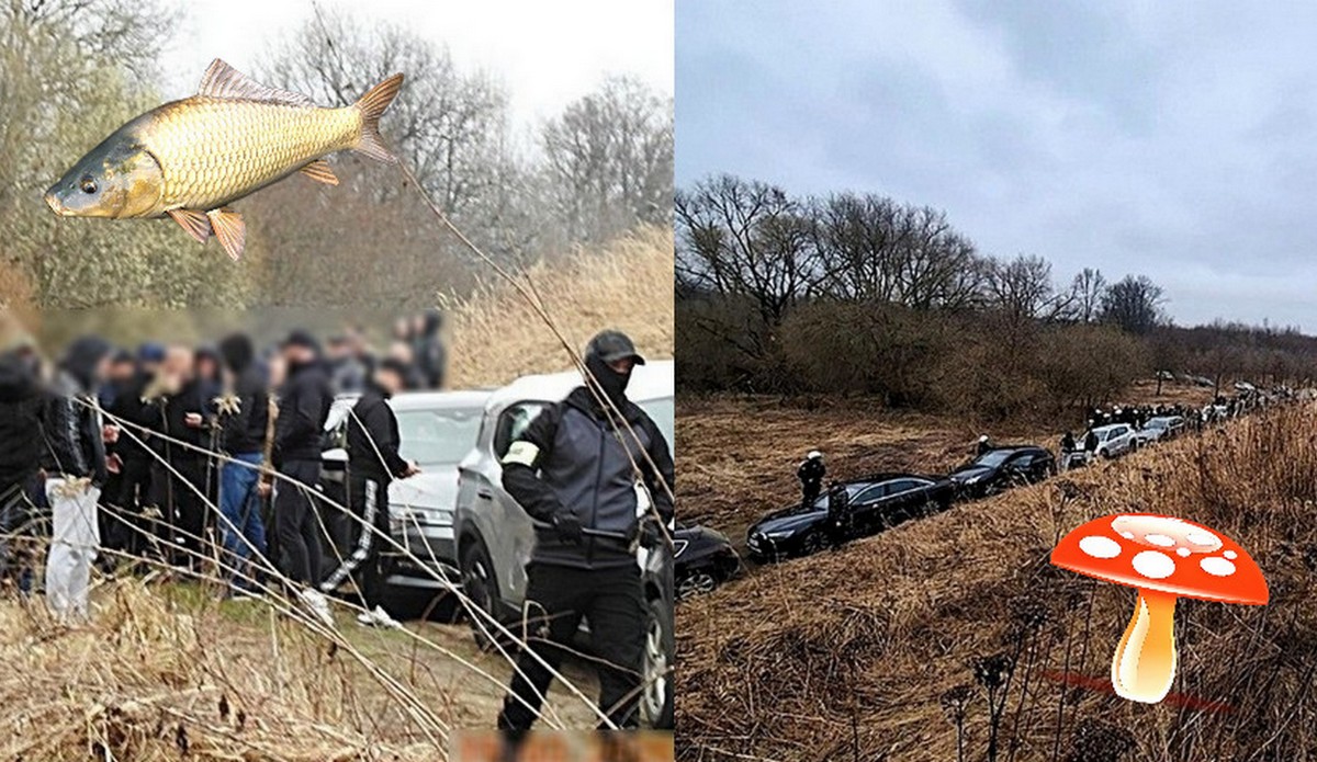 Albo kibice tłumnie poszli na grzyby, albo policja zapobiegła ustawce na 200 osób