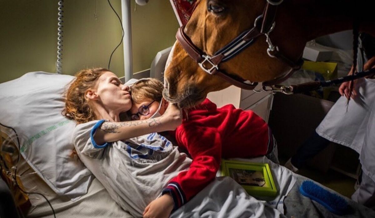 Francja: odwiedziny konia na onkologii stały się okazją do jednego z najlepszych zdjęć roku