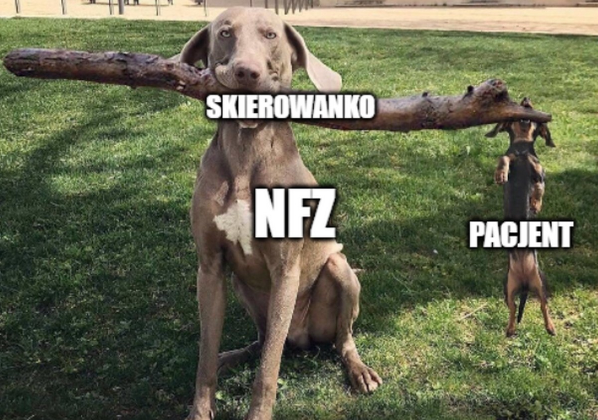 Tarnobrzeg: pacjenci muszą walić kijkiem w parapet, żeby dostać przez okno skierowanie