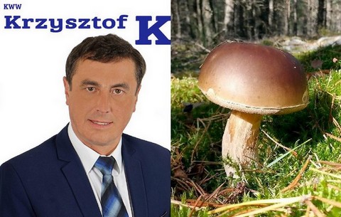 Lubartów: kandydat kusi elektorat nożykami do grzybobrania