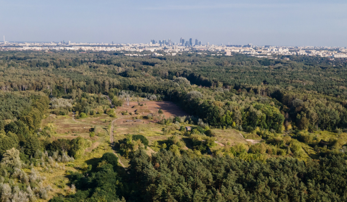 Warszawa: patodeweloper budował "osiedle covidowe" na terenie lasu