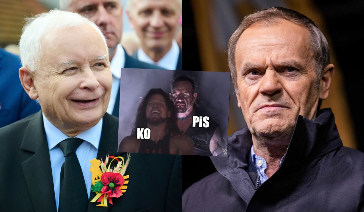 Sondaż: PiS powoli dogania KO, Konfederacja liderem wśród najmłodszych wyborców