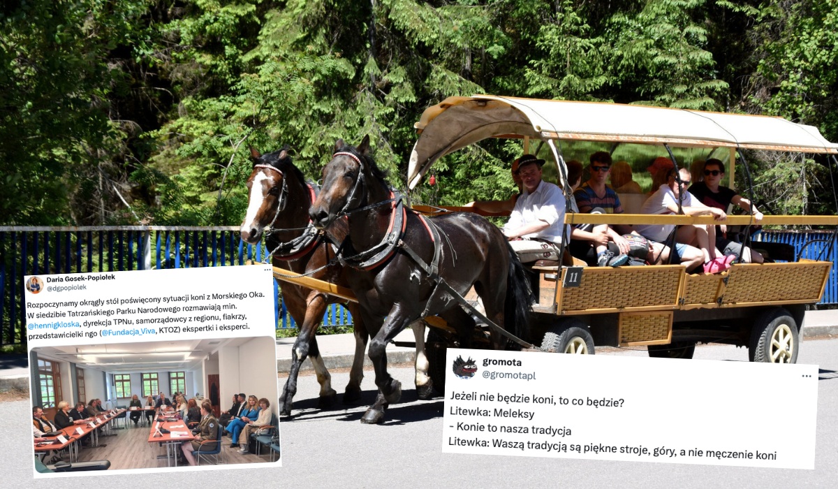 Tatrzański starosta i górale nie chcą meleksów zamiast koni, bo nie pasują do krajobrazu