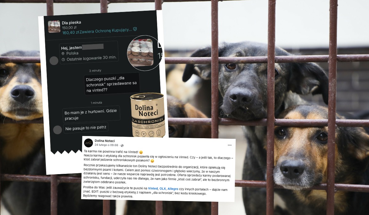 Ktoś wystawił na Vinted karmę, która miała być darowizną dla schronisk, producent zwraca uwagę, że to trochę żenada