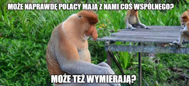 Naukowcy uznali, że popularność memów z nosaczami pomaga prawdziwym nosaczom