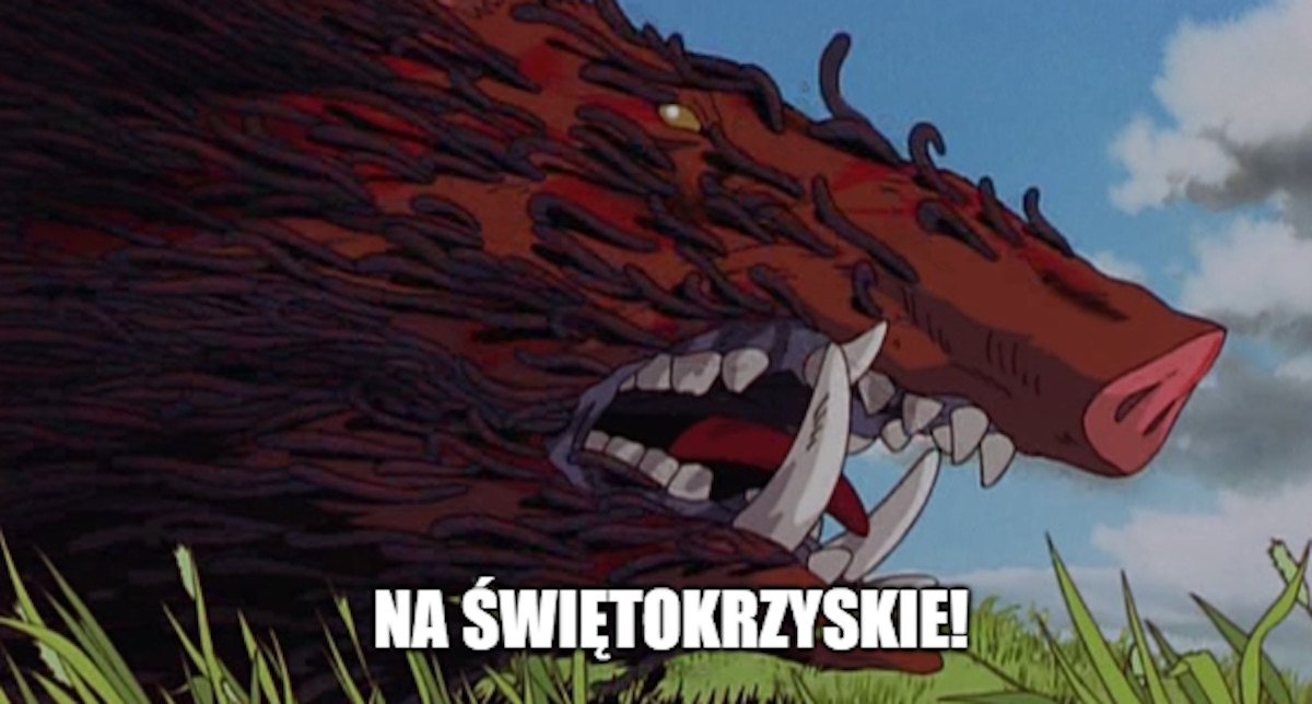 Pomiędzy świętokrzyskim a Mazowszem powstanie kilkadziesiąt kilometrów płotu, żeby dziki nie wędrowały