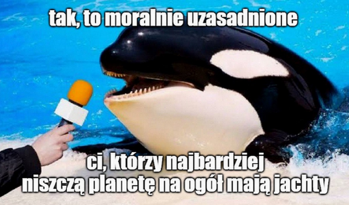 Orki po raz siódmy zaatakowały i zatopiły jacht w Cieśninie Gibraltarskiej