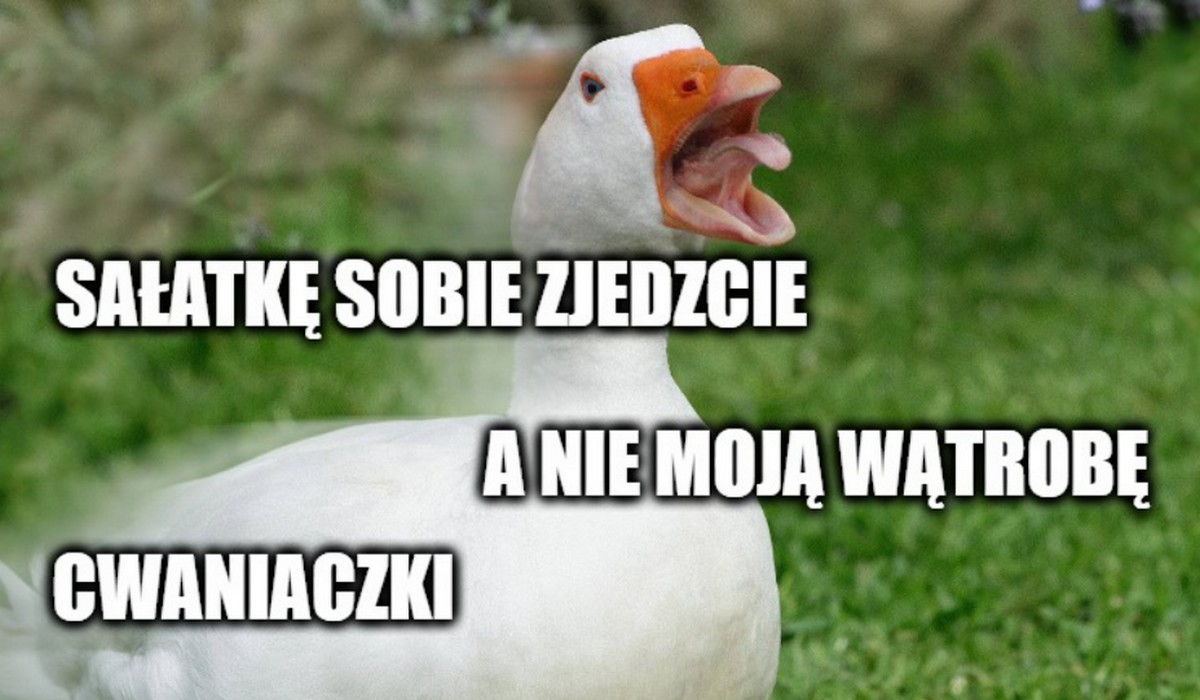 Lyon zakazał podawania foie gras na oficjalnych imprezach