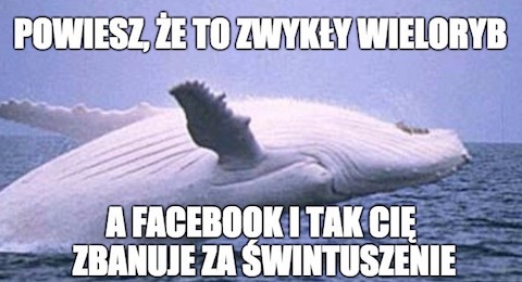 Facebook nie pozwala promować "Moby Dicka", bo, no wiecie...