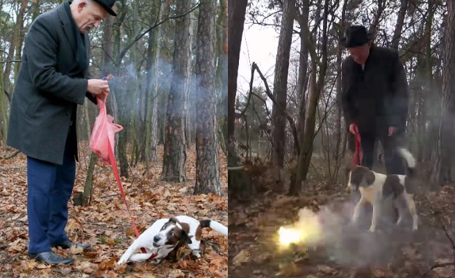 Janusz Korwin-Mikke znów oswajał psa z fajerwerkami