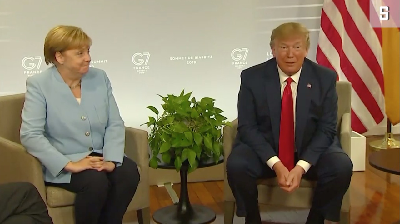 Donald Trump: mam Niemcy we krwi. Angela Merkel: pff
