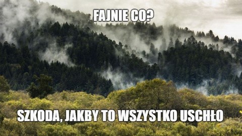COP24: naukowcy proszą, żeby ich nie olewać
