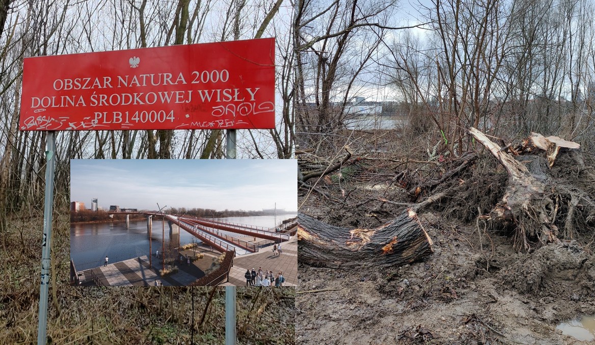 Warszawa: radny alarmuje, że Rafał Trzaskowski zdecydował się na niszczenie obszaru Natura 2000, żeby zrobić kładkę