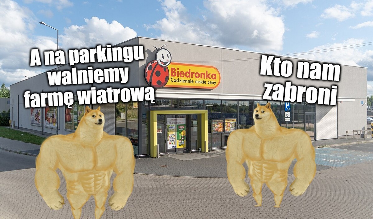Biedronka się nie certoli i stawia fotowoltaikę na dachach swoich sklepów, ponad 2000 obiektów już przeszło transformację