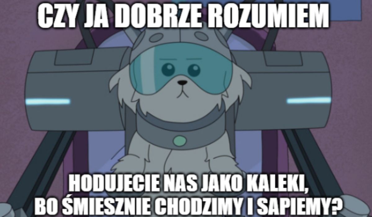 Norwegia: hodowle dwóch ras psów staną się nielegalne, bo częścią ich uroku są ich problemy zdrowotne