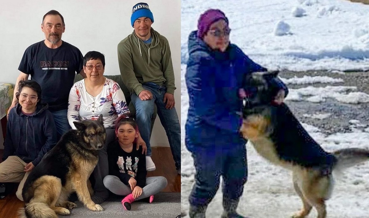 Kanada: pies pokonał 70 km przez śniegi i tundrę i udało mu się odnaleźć swoją rodzinę