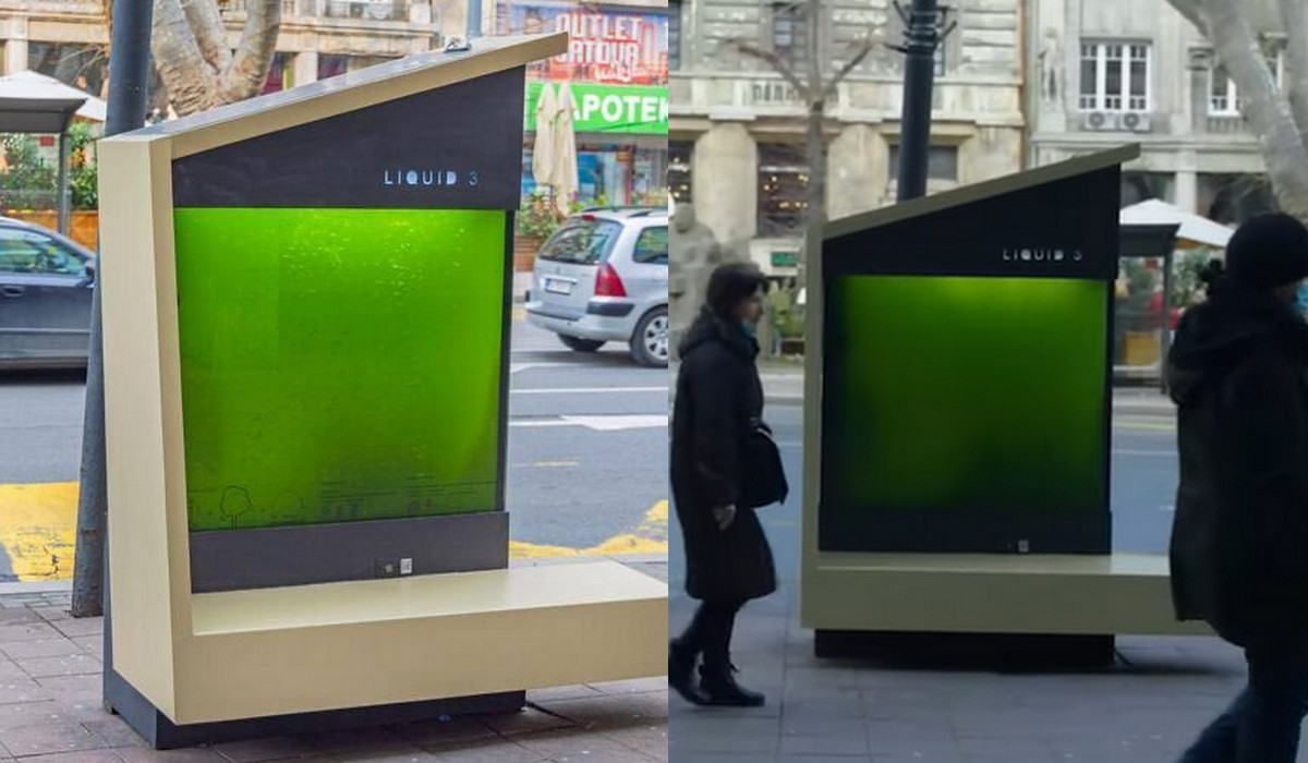 Belgrad idzie full Cyberpunk i ustawia "płynne drzewa", bioreaktory mają oczyszczać powietrze