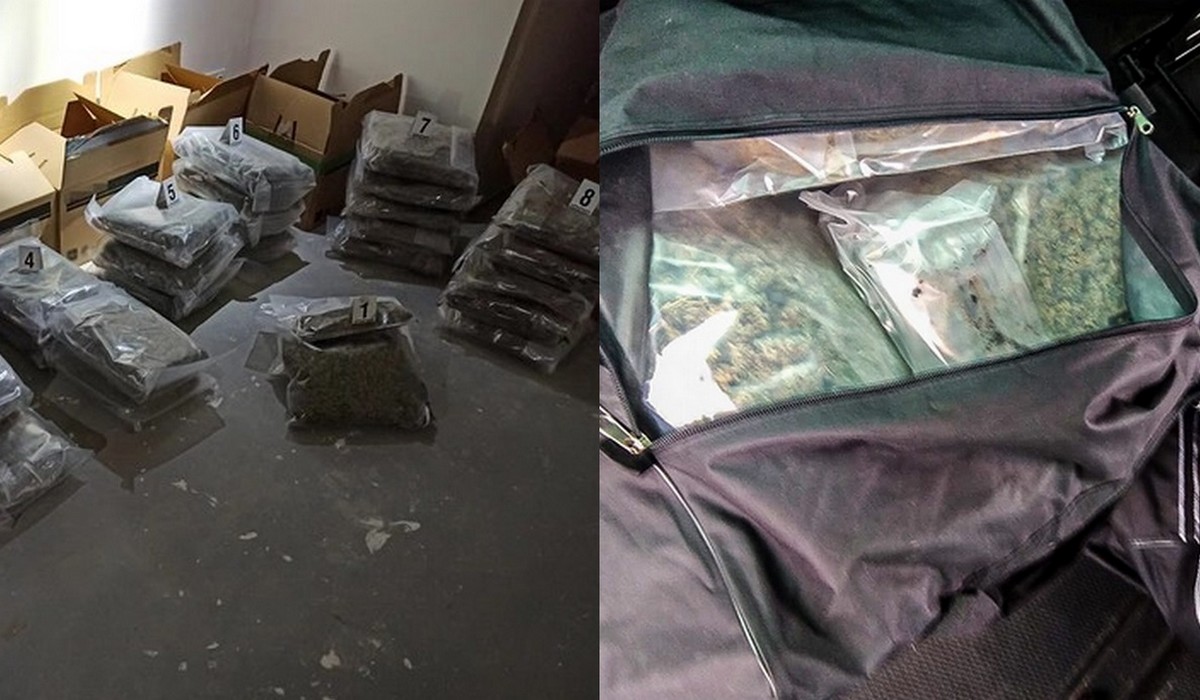 CBŚP przejęło taki ładunek marihuany, że pewnie ceny skoczą