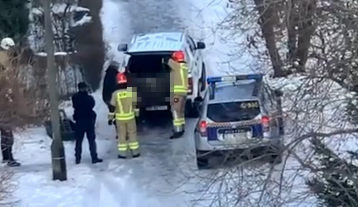 Jaworzno: myśliwi urządzają sobie polowania na dziki na blokowisku pod oknami ludzi