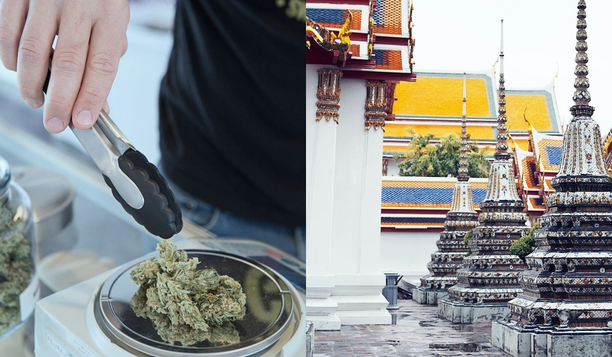 Tajlandia po częściowej legalizacji marihuany jeszcze bardziej luzuje prawo i zezwala na domową hodowlę