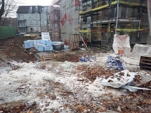 Deweloper zgłosił nielegalną wycinkę drzew, które sam wyciął