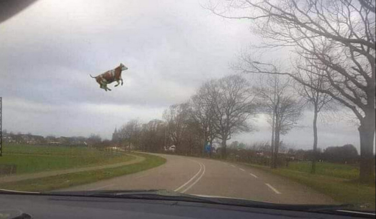 Problemy z numerem alarmowym 112, awaria może mieć związek z przeciążeniem systemu