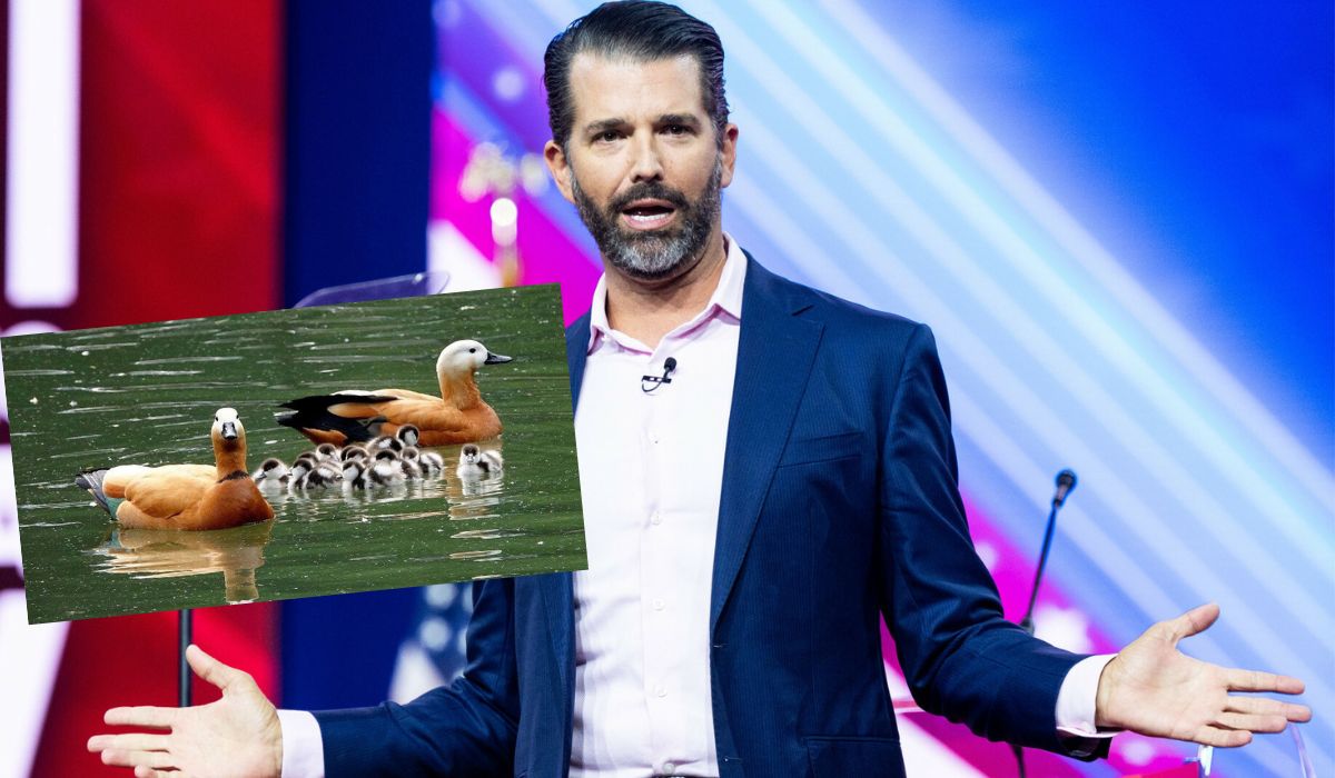 Młodszy Trump wybrał się na polowanie we Włoszech i zastrzelił kaczkę pod ochroną