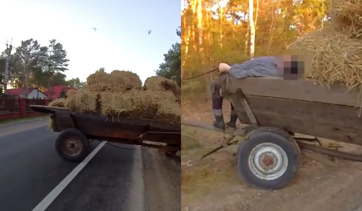 GTA Świętokrzyskie: pijany woźnica miał 3 promile i mówił "ojej", policjanci przejęli lejce i kontrolę