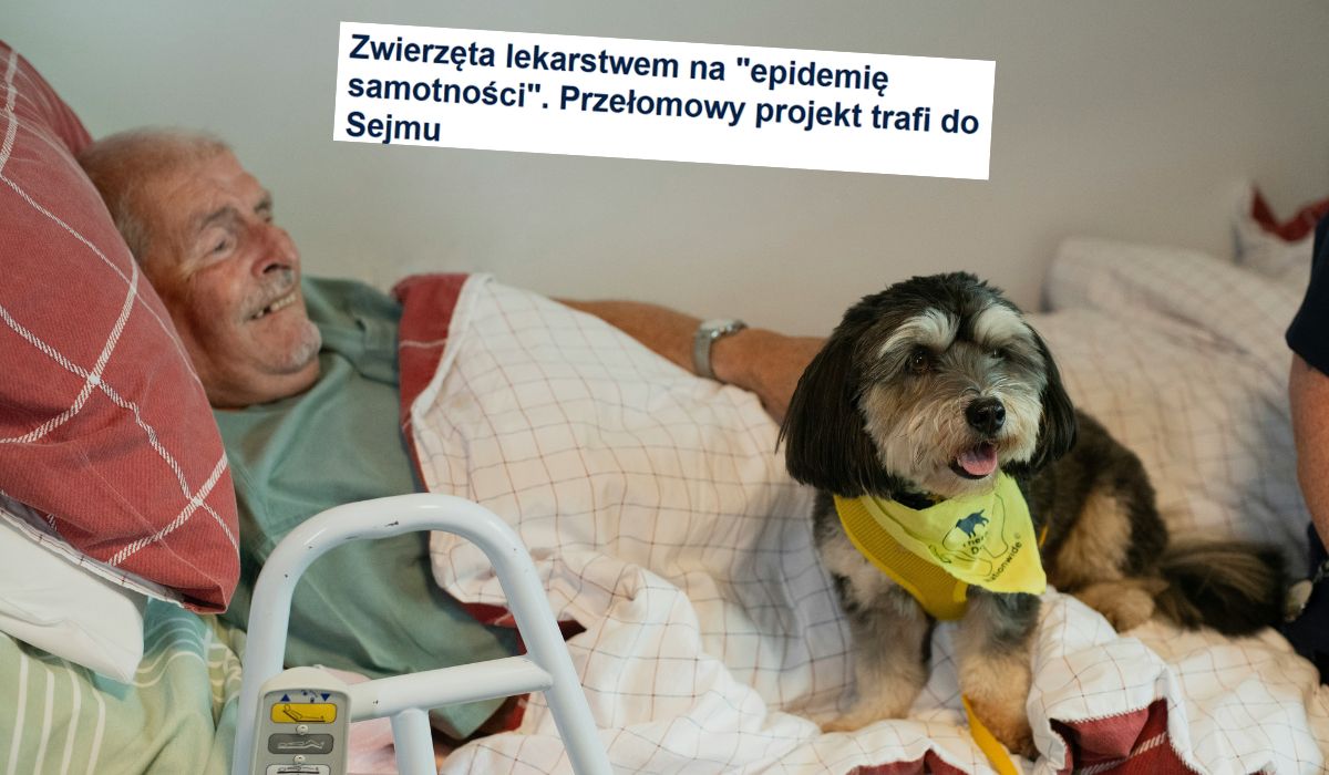 Posłowie KO chcą, żeby zwierzęta domowe mogły odwiedzać chorych w szpitalach i hospicjach