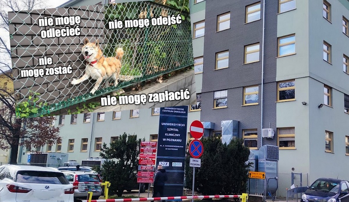 Poznań: chłop po walce o życie w szpitalu utknął na parkingu, został wypuszczony dopiero, jak zapłacił 1350 zł