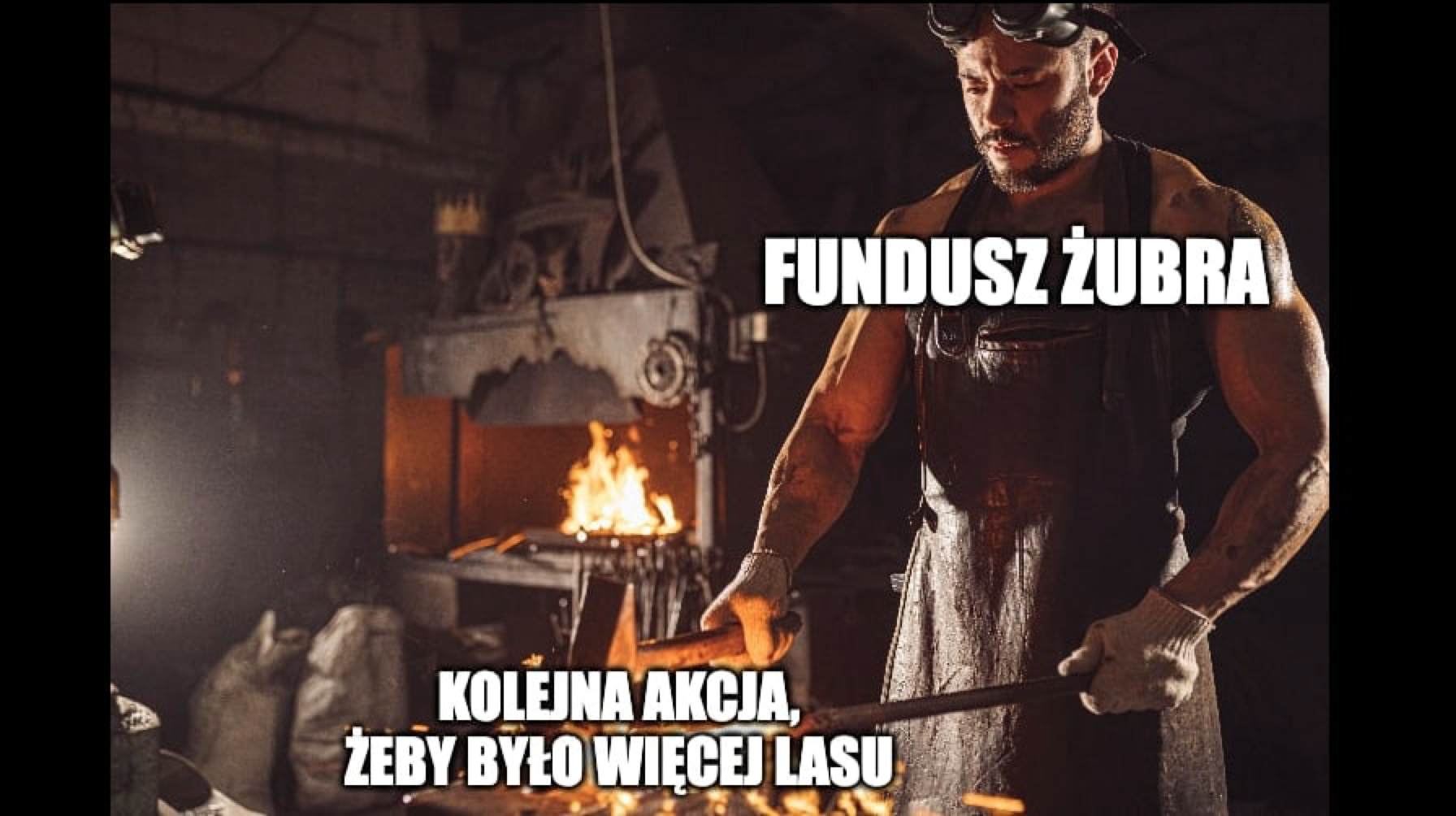Fundusz Żubra rusza z kolejnymi akcjami dla przyrody: stworzenie 50 mikrorezerwatów oraz 15 hektarów wiecznych lasów